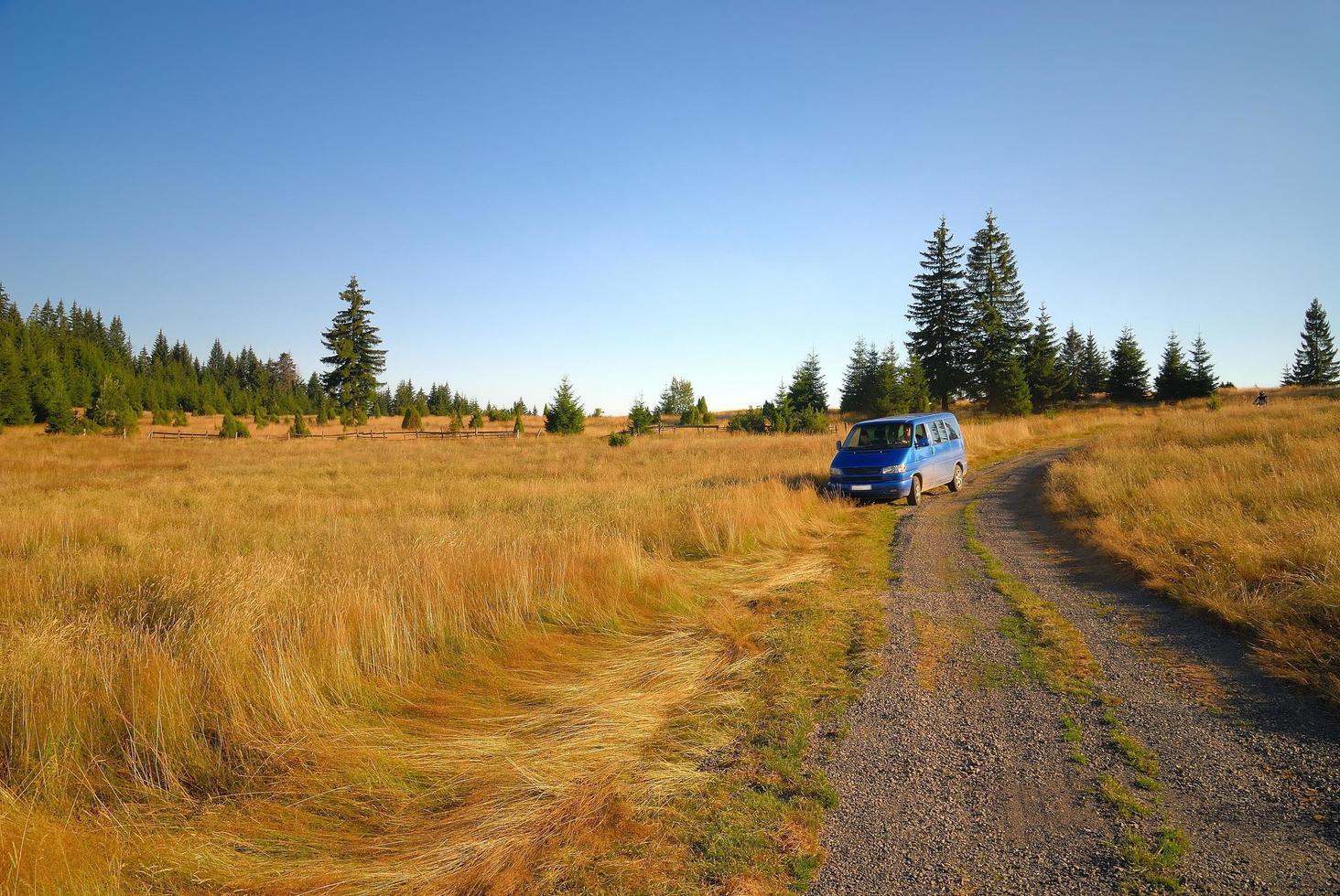 blue van in nature photo