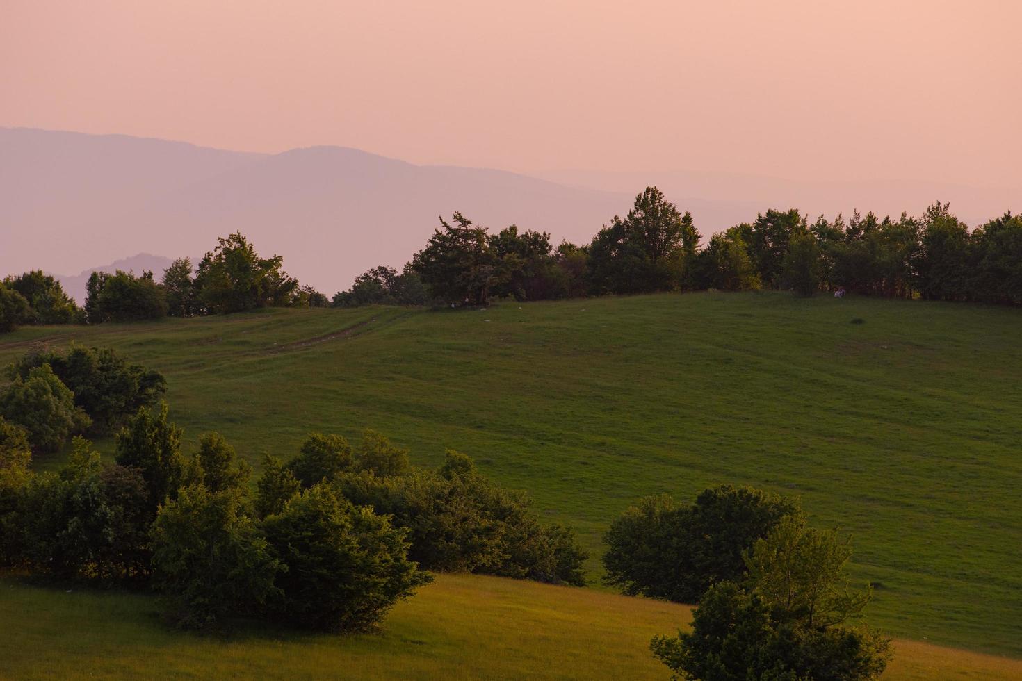 landscape nature summer photo