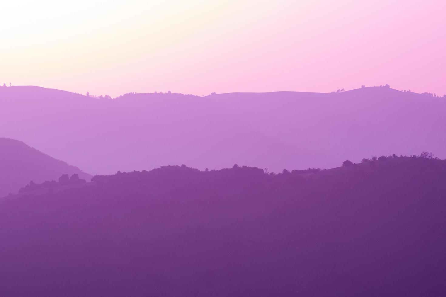 ultra violet purple summer landscape photo