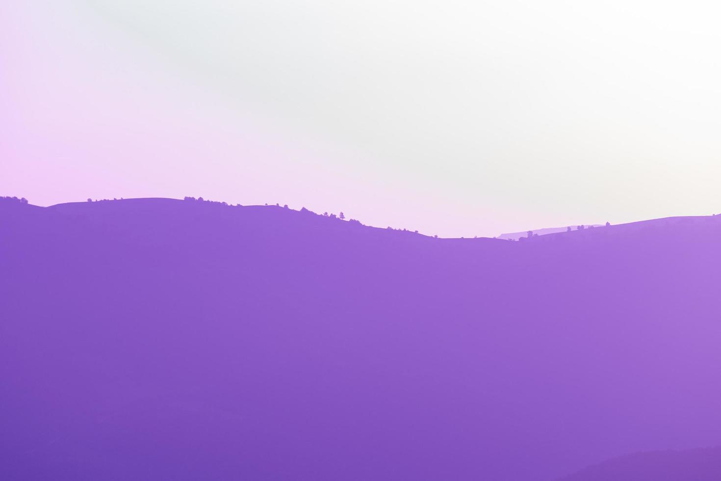 ultra violet purple summer landscape photo