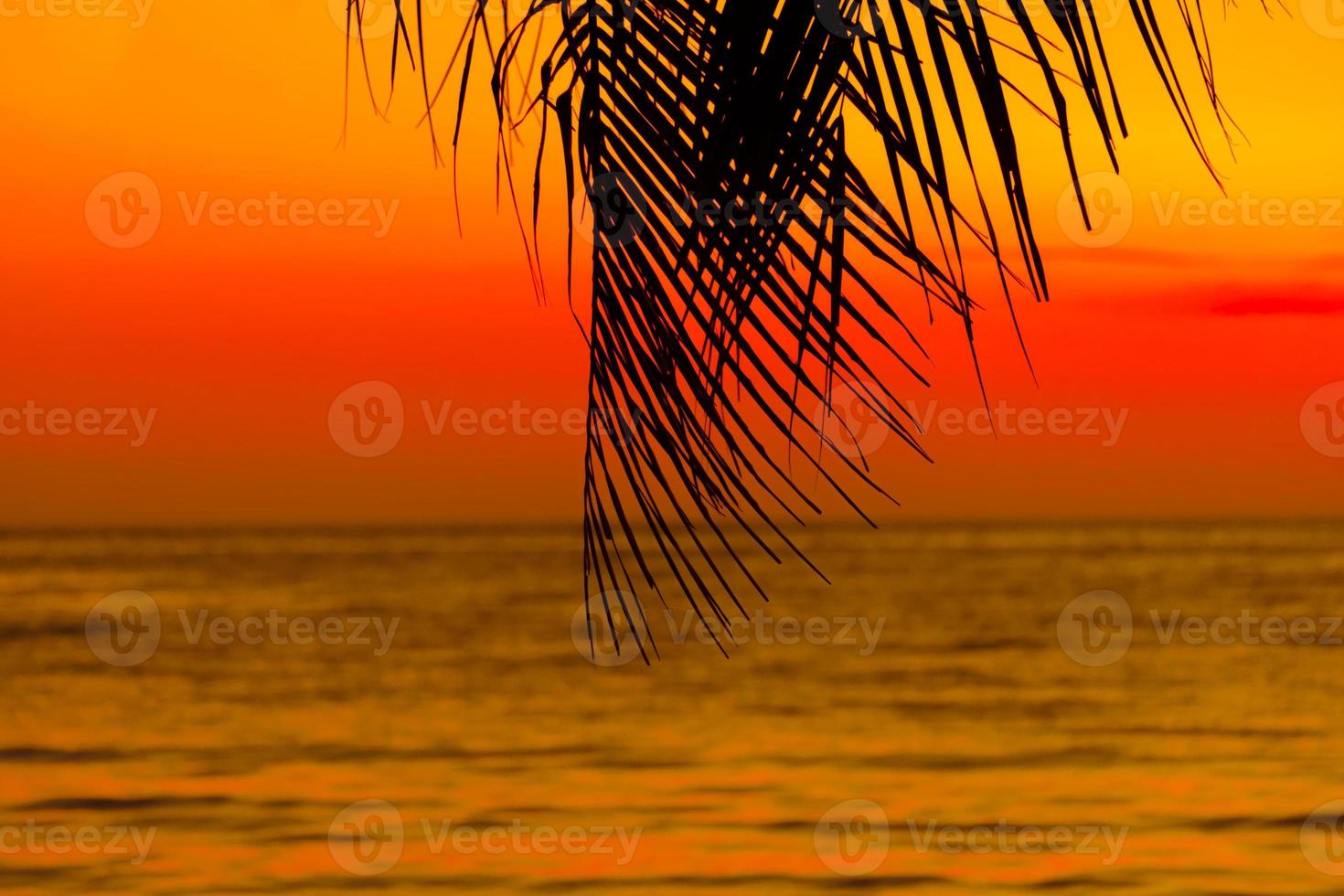 Silhouette of palm trees Beautiful sunset on the tropical sea beach background for travel in holiday relax time, photo
