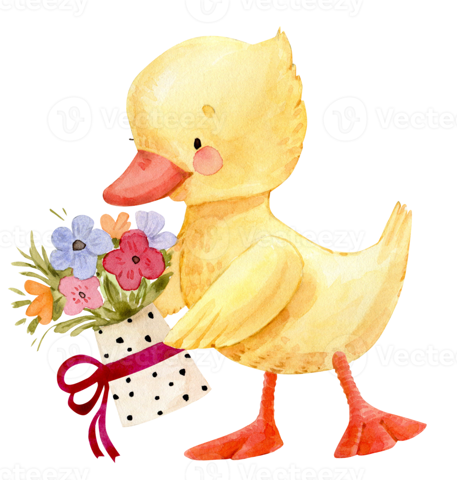 yellow duckling with a bouquet of flowers, cartoon watercolor illustration. png