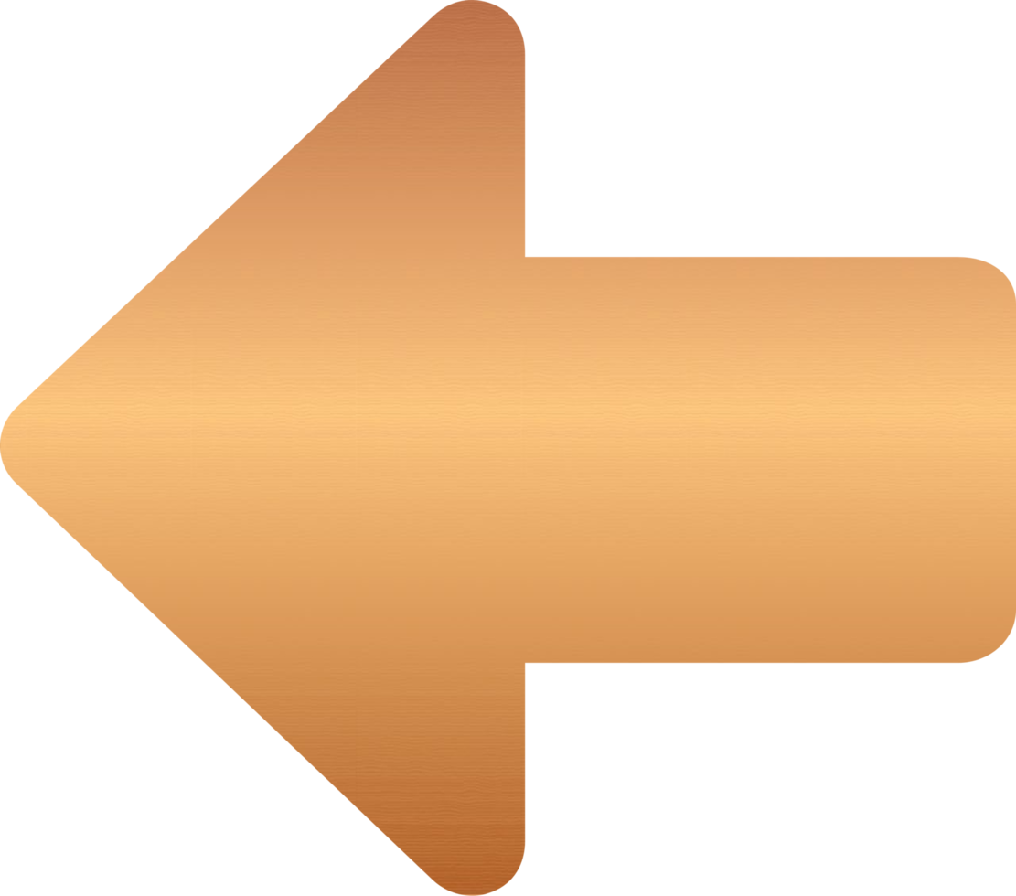 Bronze Left Arrow Icon png