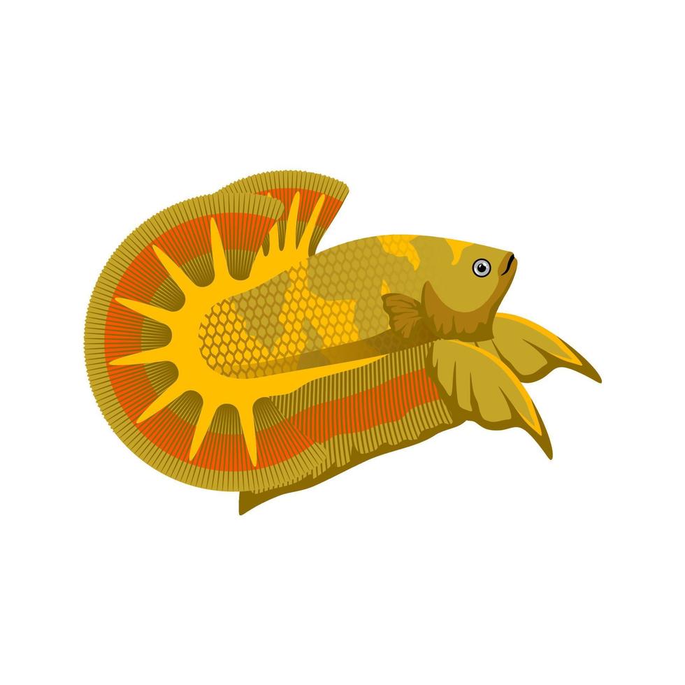 Betta Fish Vector illustration Art