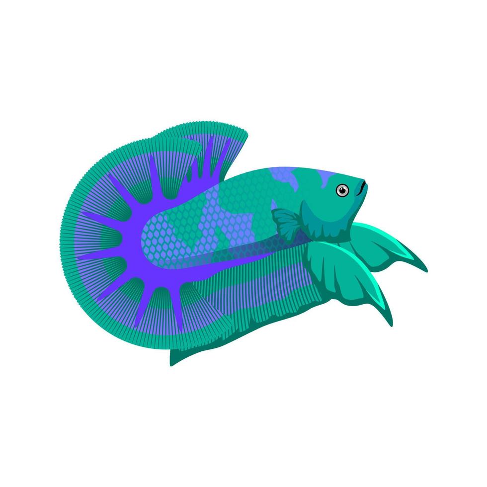 arte de ilustración de vector de pez betta