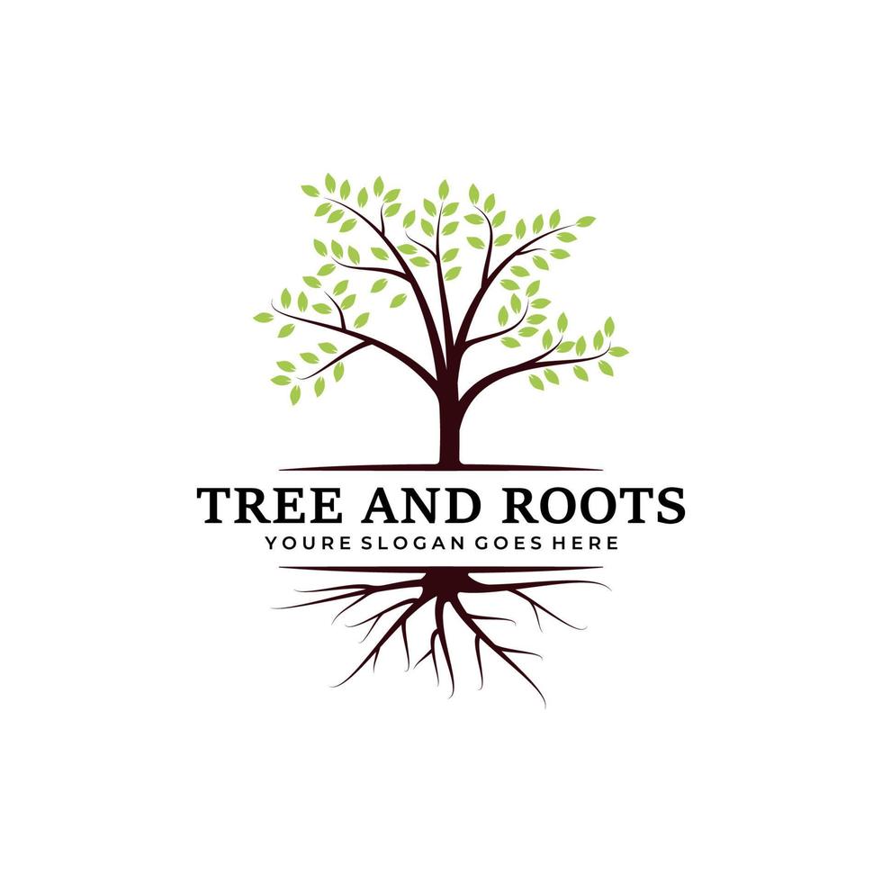 diseño de plantilla de ilustración de vector de logotipo de árbol y raíces