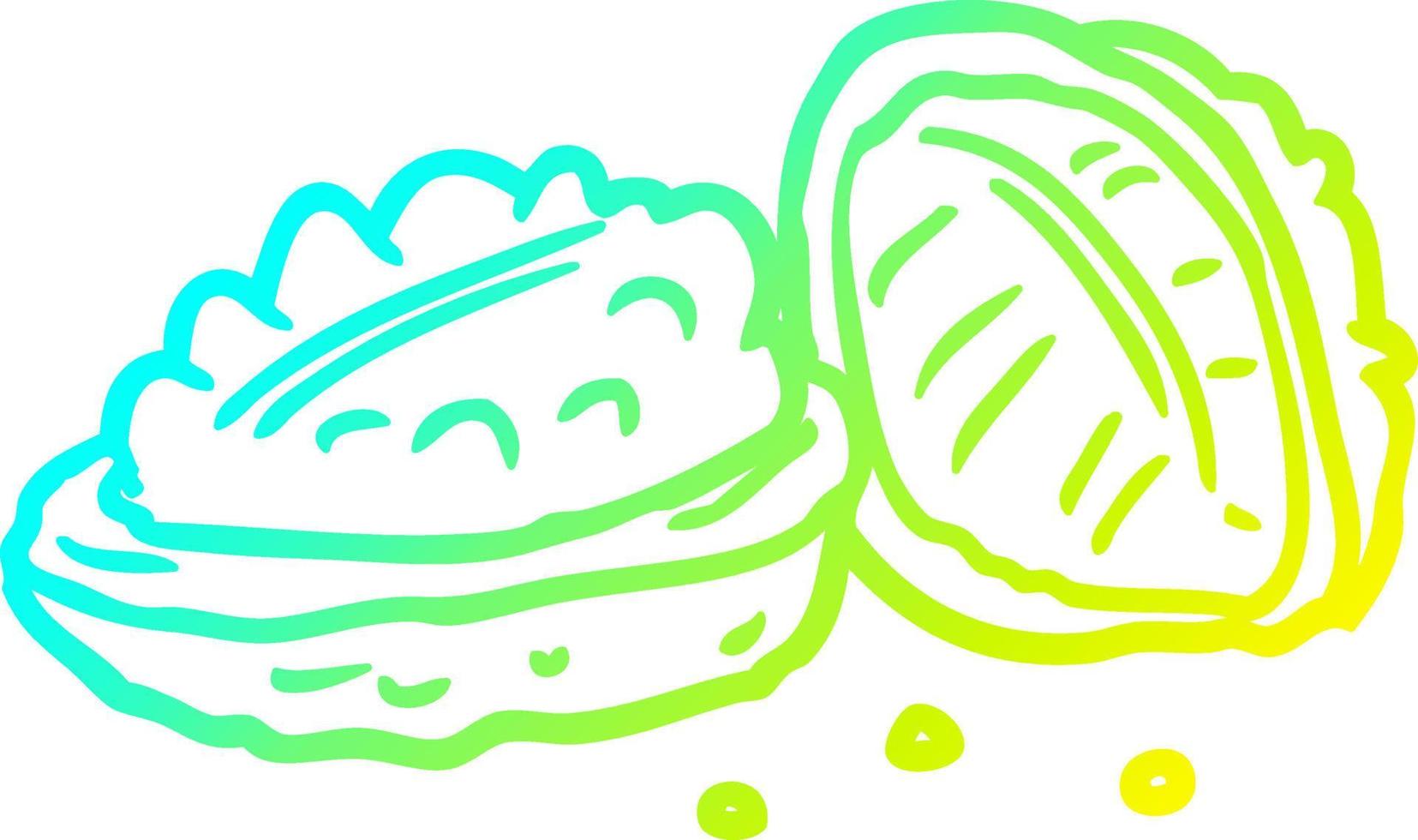 cold gradient line drawing walnuts vector
