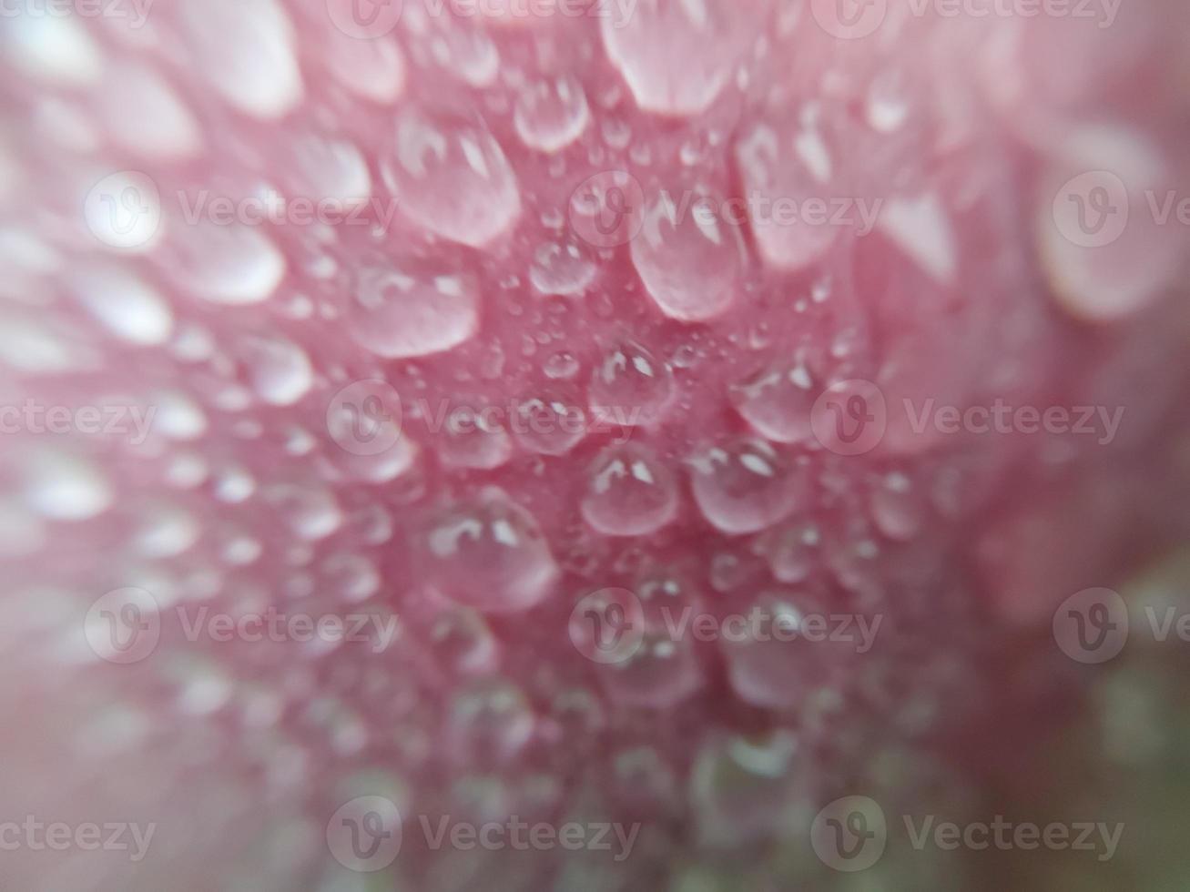 Fallen autumn morning dew on the leaves of plants photo
