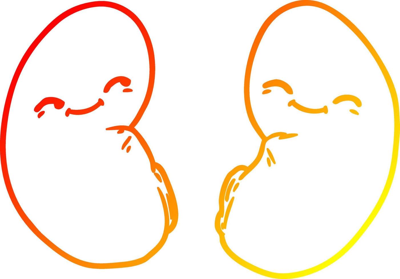 warm gradient line drawing cartoon kidneys vector