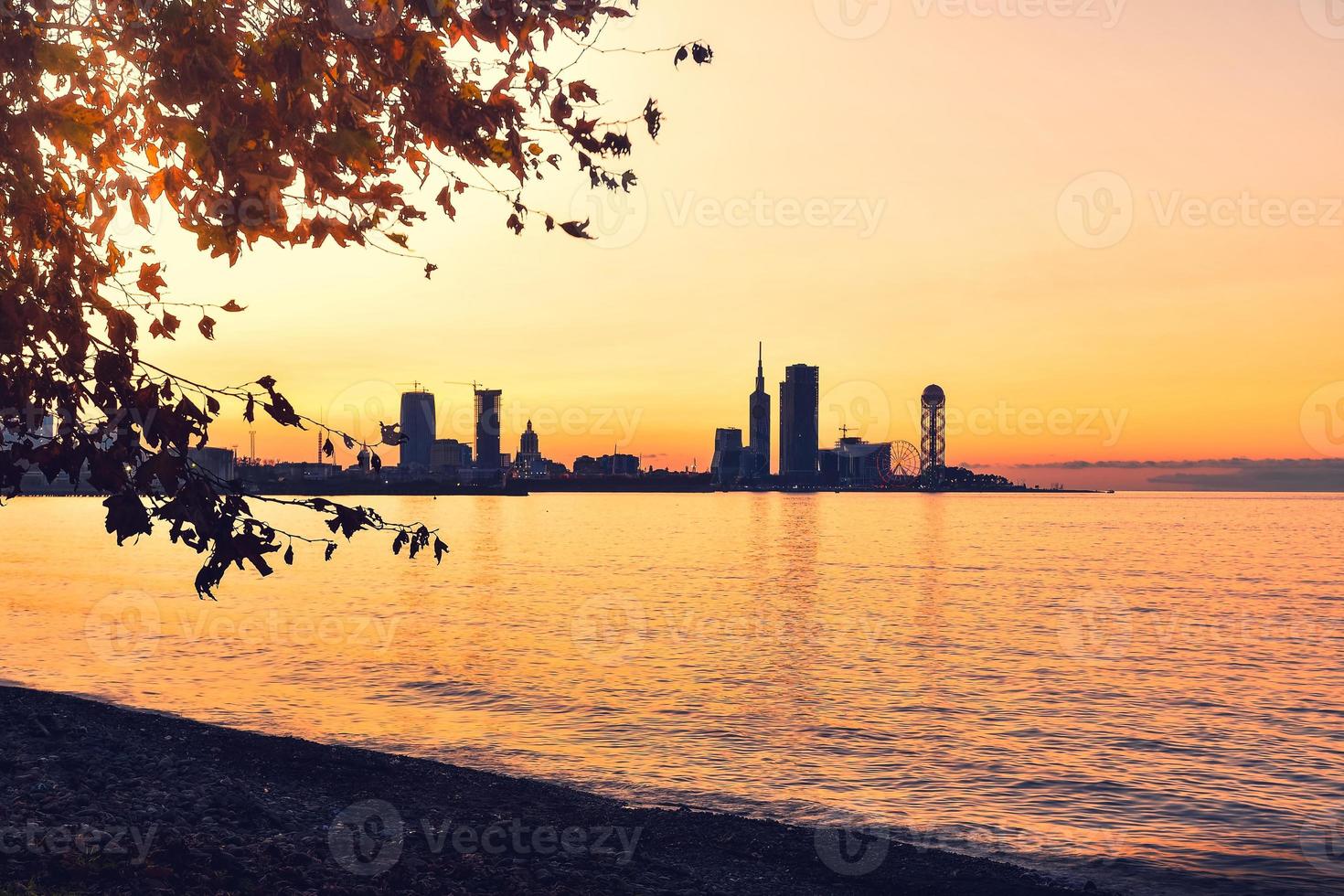 Batumi waterfront in Adjara, Georgia. Modern Architecture In Seafront Promenade In Night Or Evening Illuminations, Illuminated Resort Town Cityscape With Skyscrapers photo