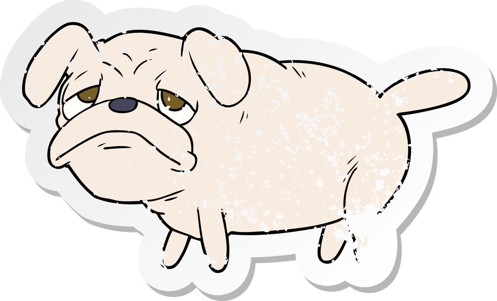 distressed sticker of a cartoon unhappy pug dog vector