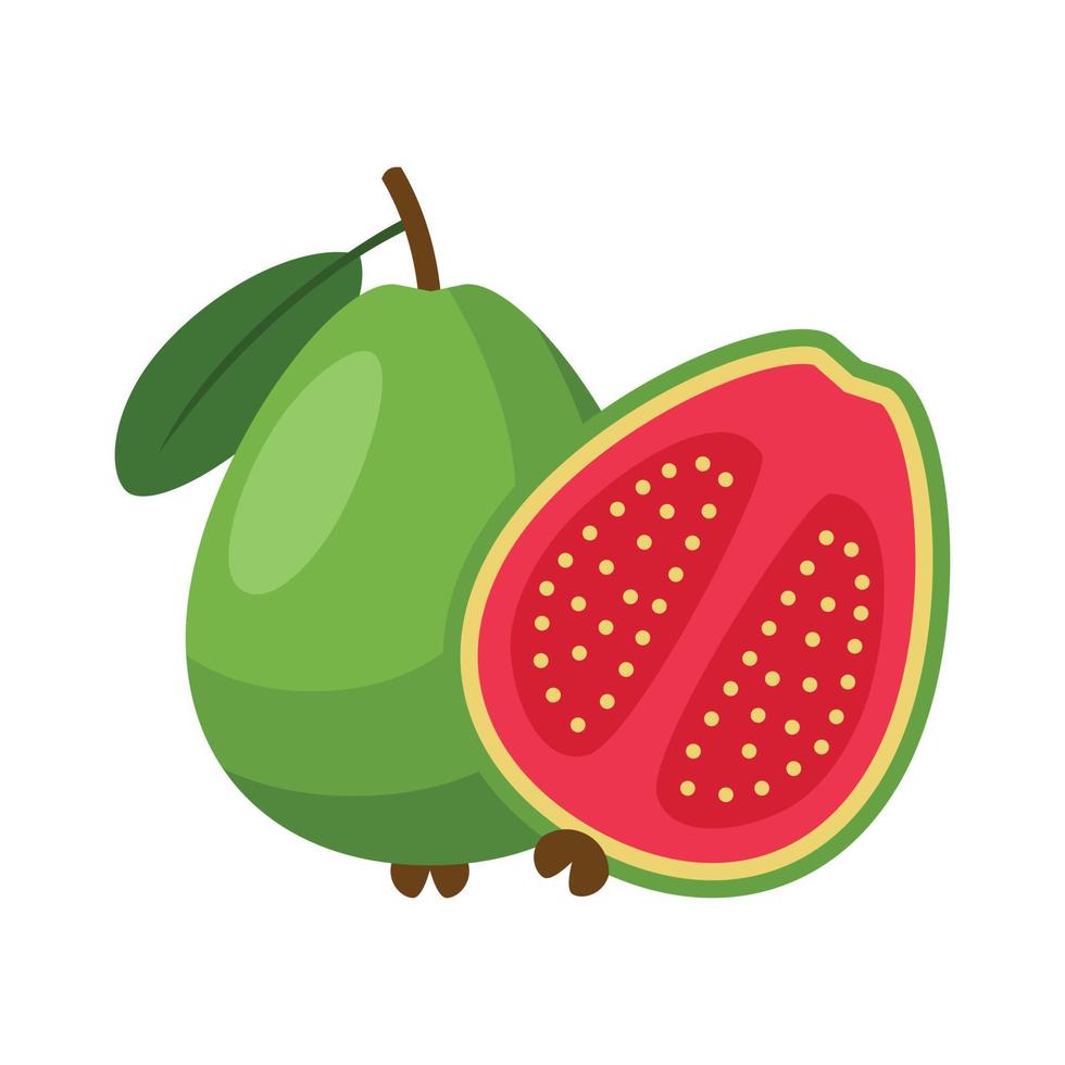 ilustración vectorial de imágenes prediseñadas de diseño plano de guayaba aislada en un fondo blanco vector