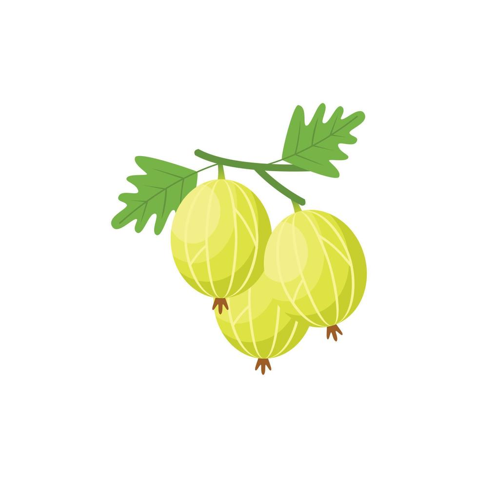 Gooseberry Flat design clip art vector illustration isolated on a white background