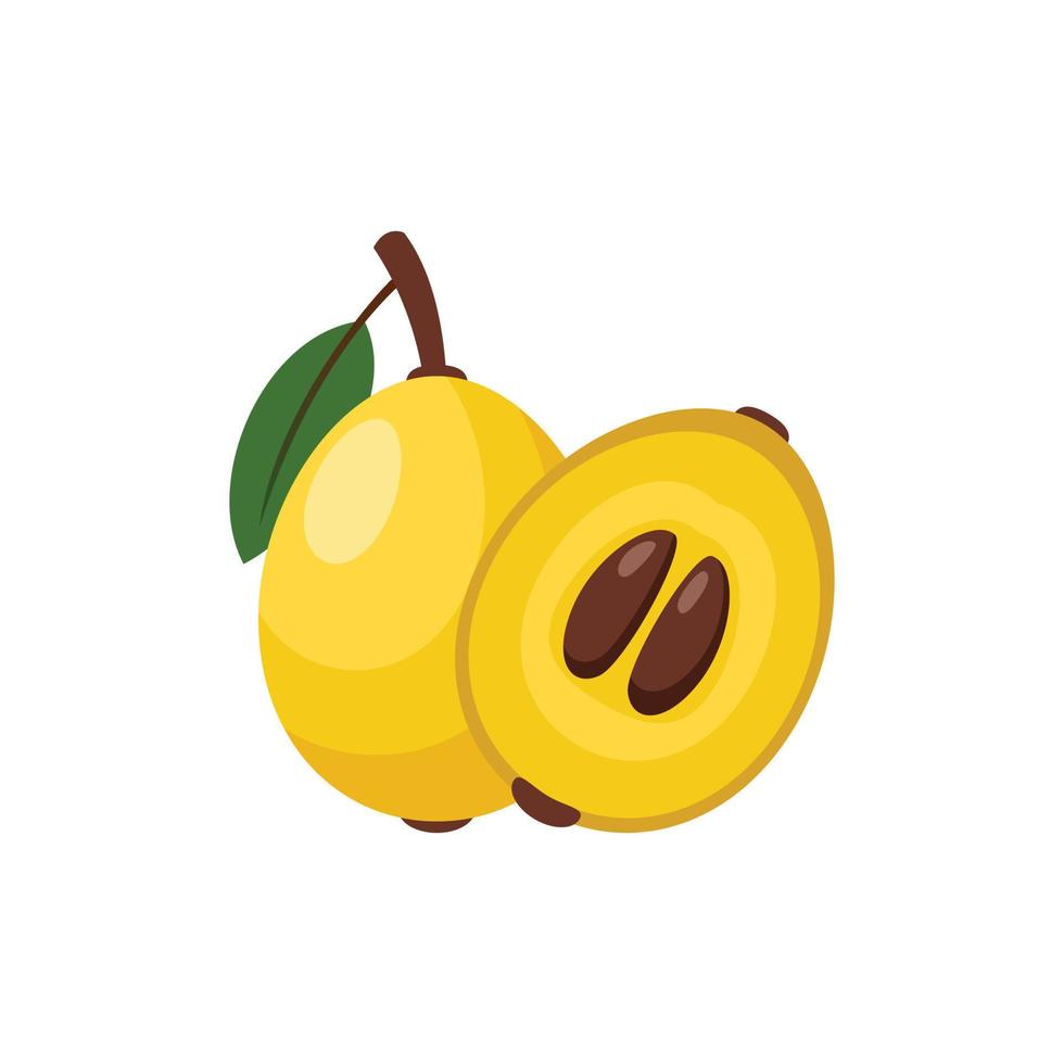Loquat Flat design clip art vector illustration isolated on a white background