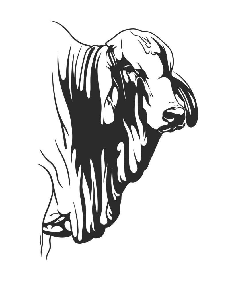 Hand drawn cow head in line art style vector