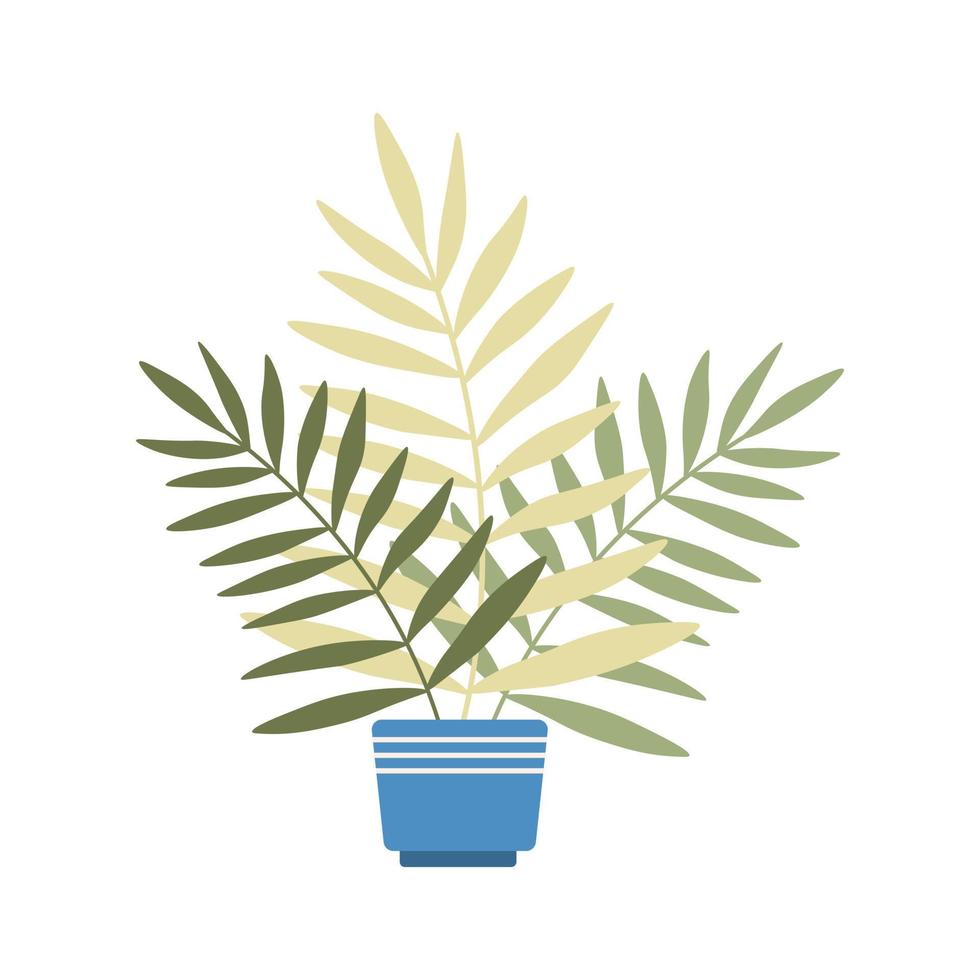 House tropical plant in pot isolated on white background. vector