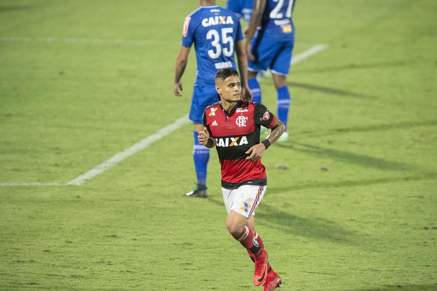 Brazilian Championship 2017 11943215 Stock Photo at Vecteezy