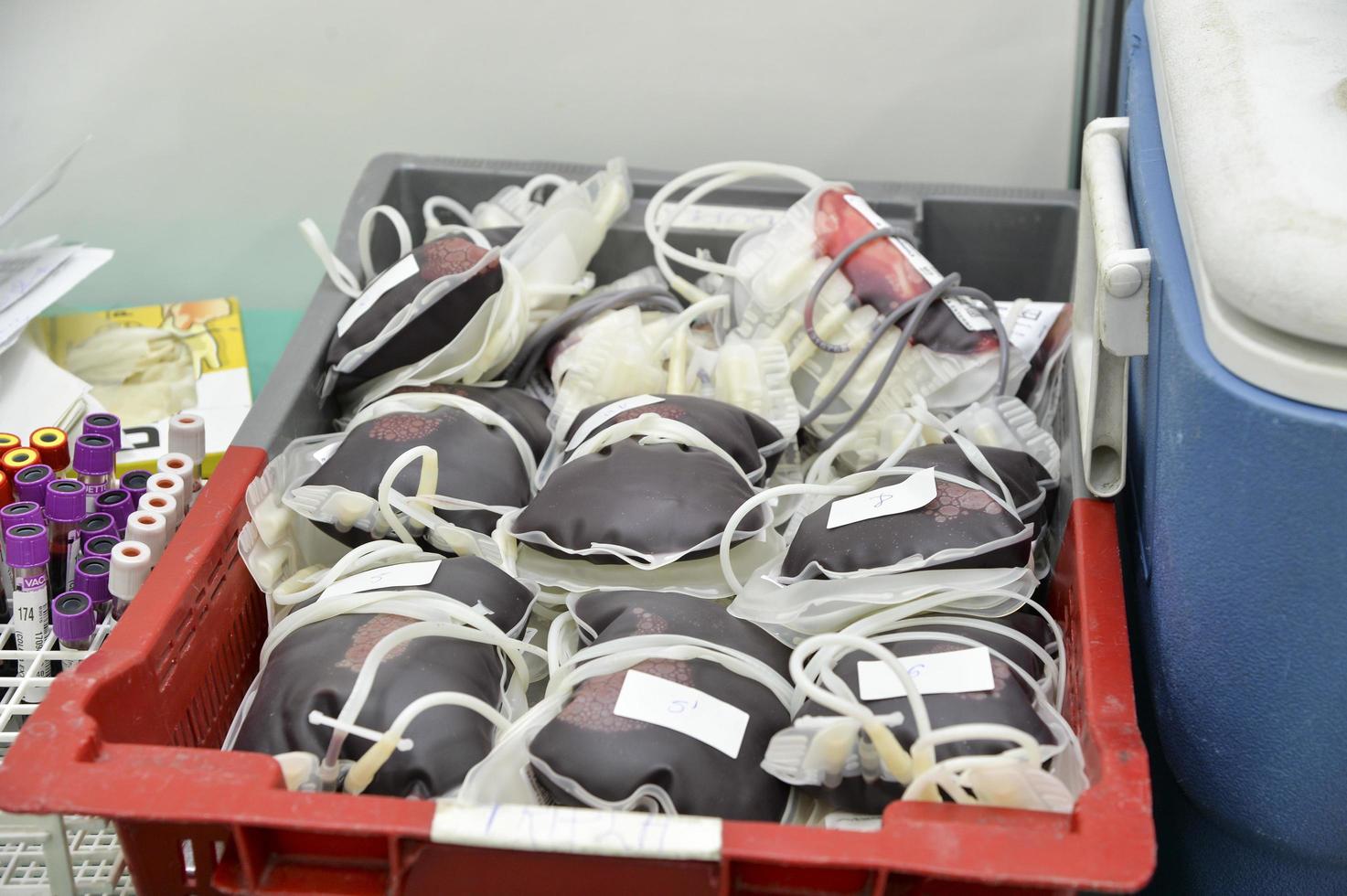 Blood donation bag photo
