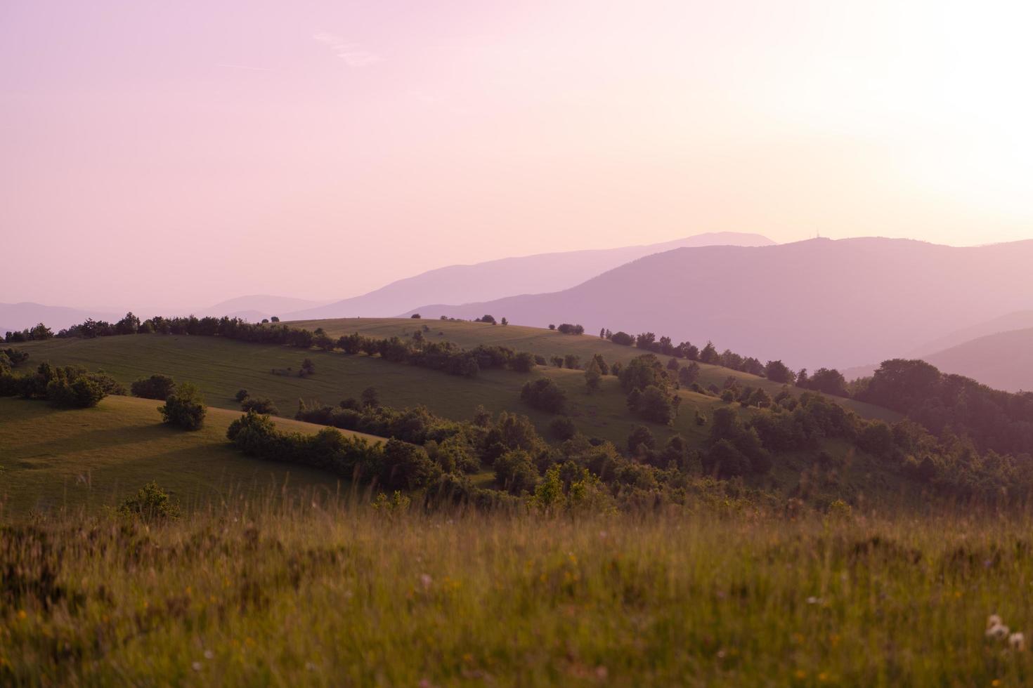 landscape nature summer photo