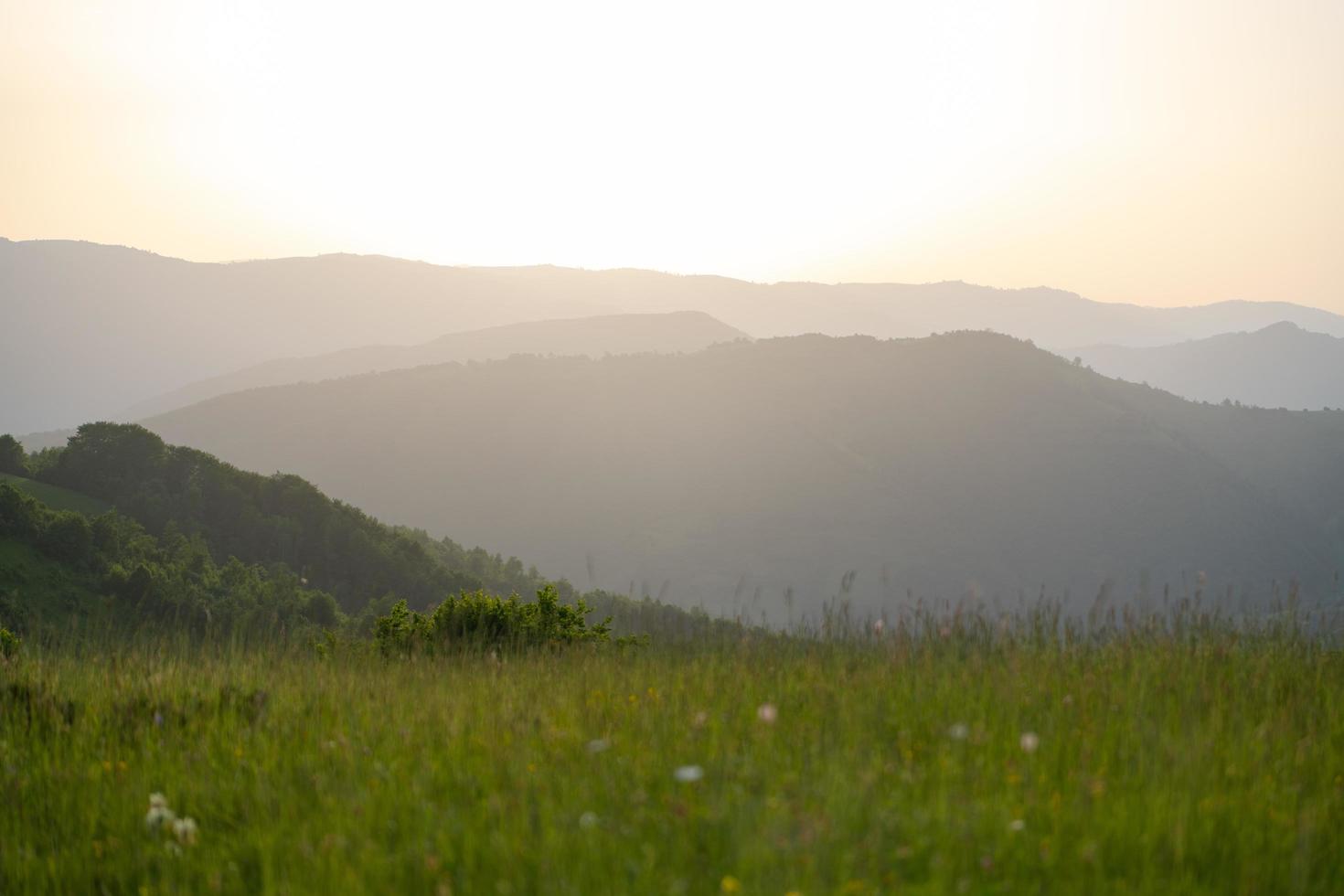 landscape nature summer photo