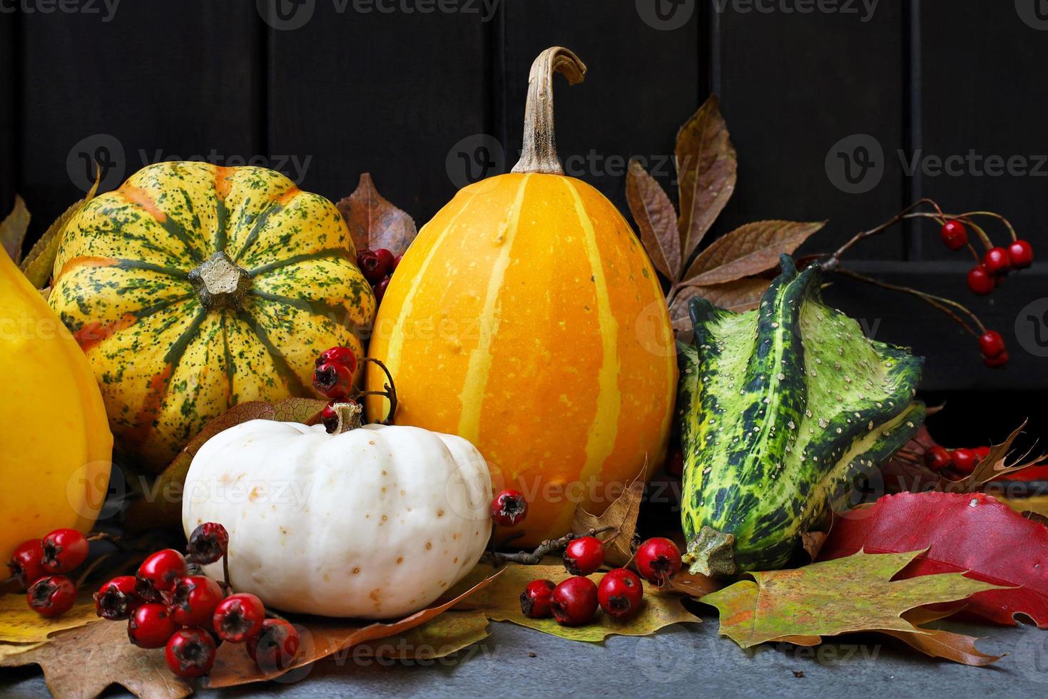 Many decorative pumpkins different shapes and colors - yellow, orange, white and green, red berries, colorful fallen leaves. Thanksgiving or Halloween symbols. Black wooden and gray stone background. photo