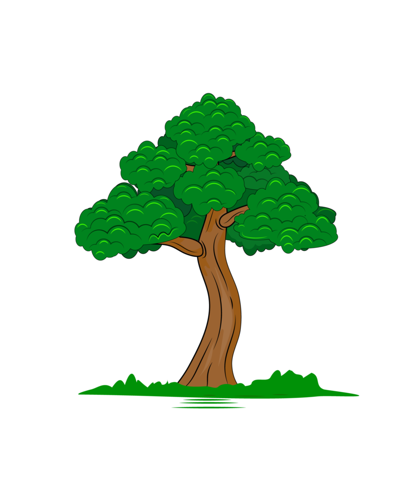 Single tree, one fertile tree with grass. tall tree. forest element. png