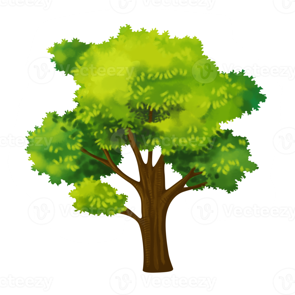 tree cartoon in painting style png