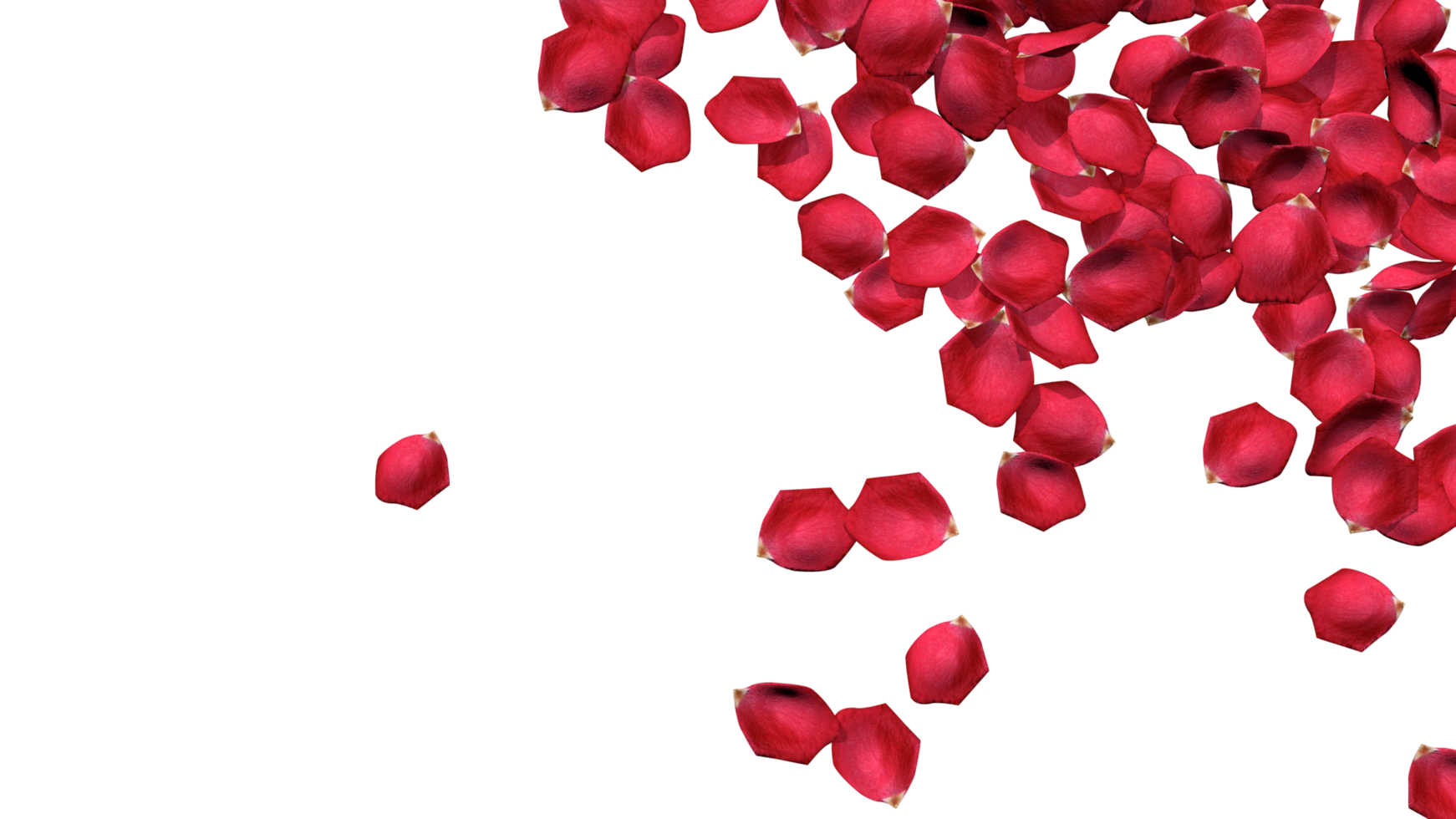 Rosenblatt isoliert von der rechten Seite fallend, glücklicher Valentinstag, Muttertag, 3D-Darstellung png