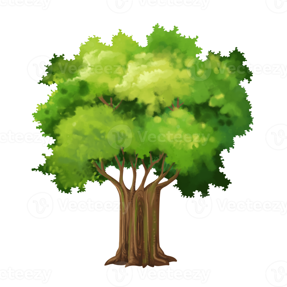 tree cartoon in painting style png