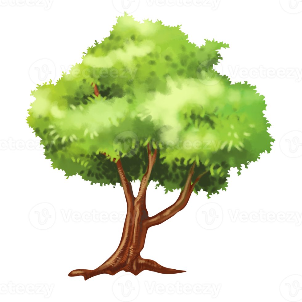 tree cartoon in painting style png