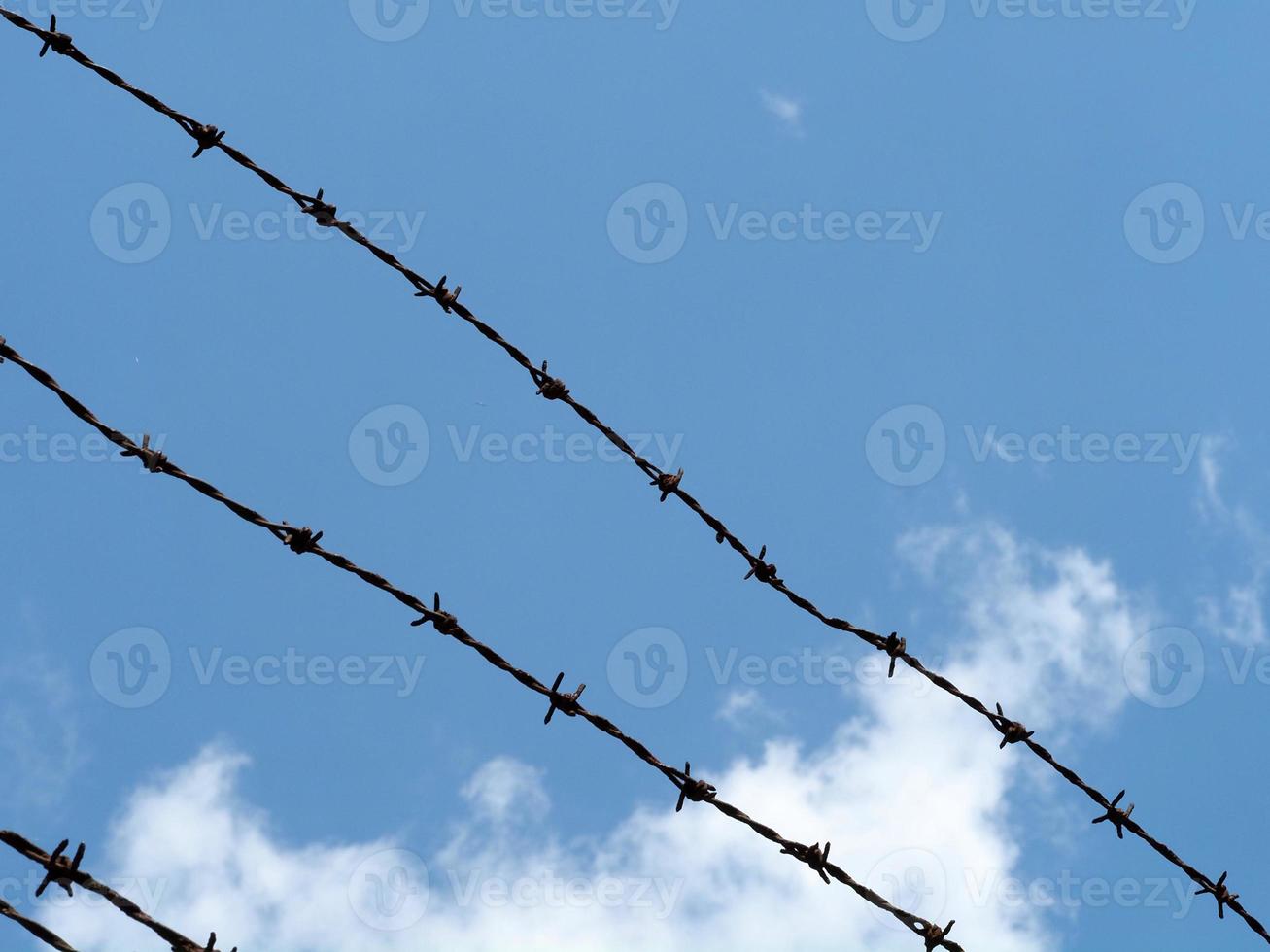 barbed wire on cloudy sky photo