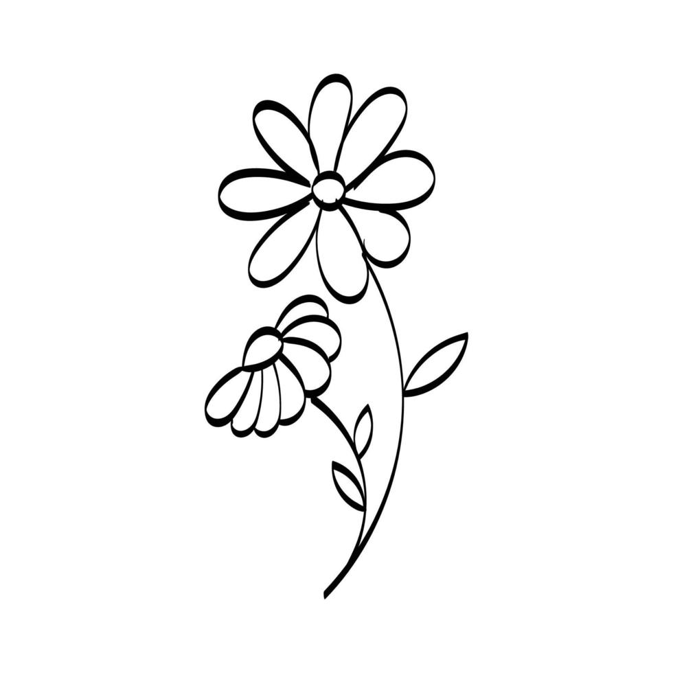 Floral Art. flower drawing with line-art. 11948121 Vector Art at Vecteezy