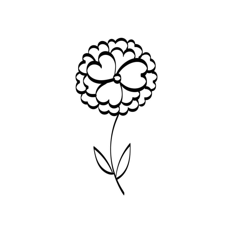 Floral Art.  flower drawing with line-art. vector