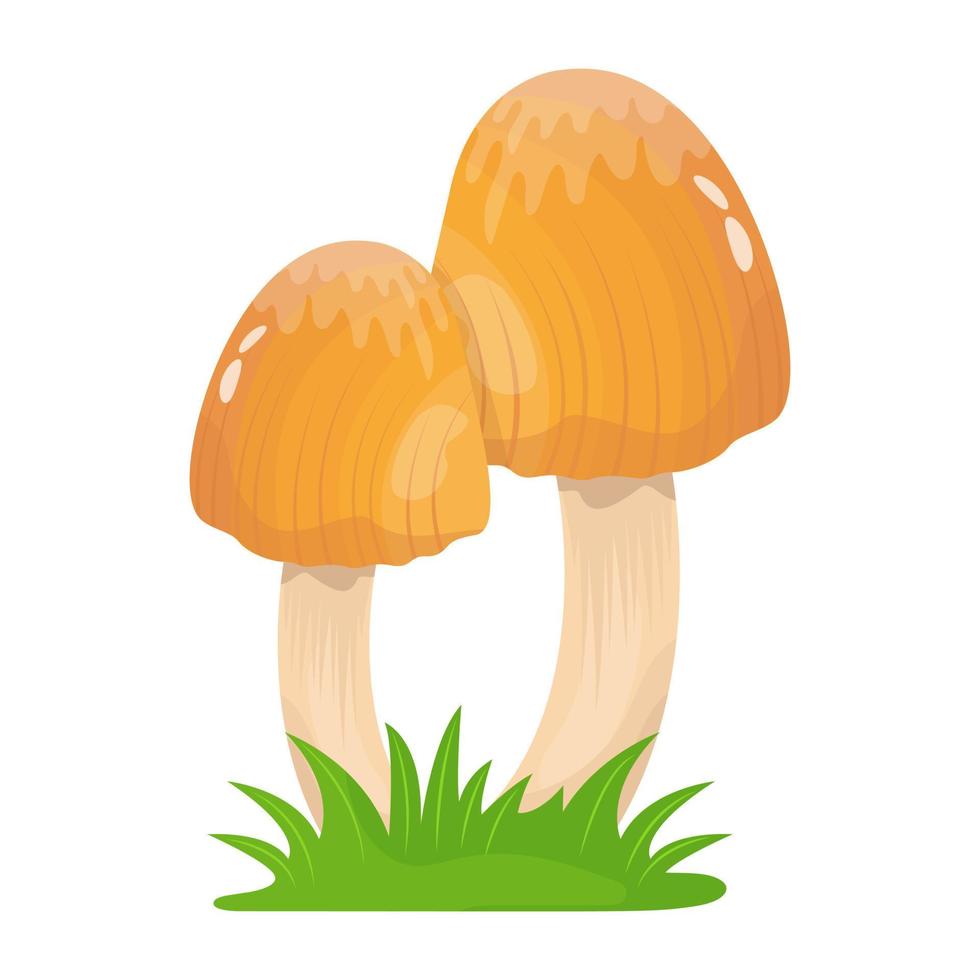 A flat illustrative vector of mushroom