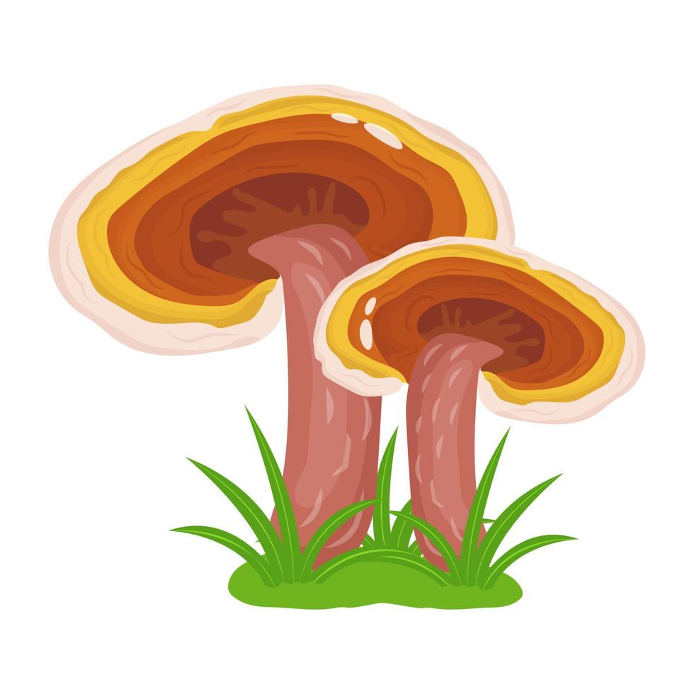 A flat illustrative vector of mushroom