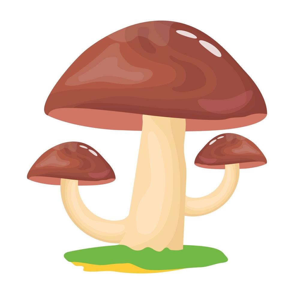 A flat illustrative vector of mushroom