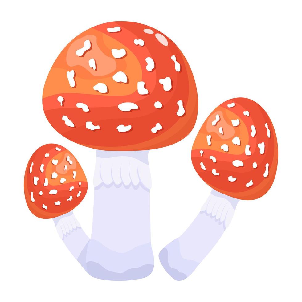 A flat illustrative vector of mushroom