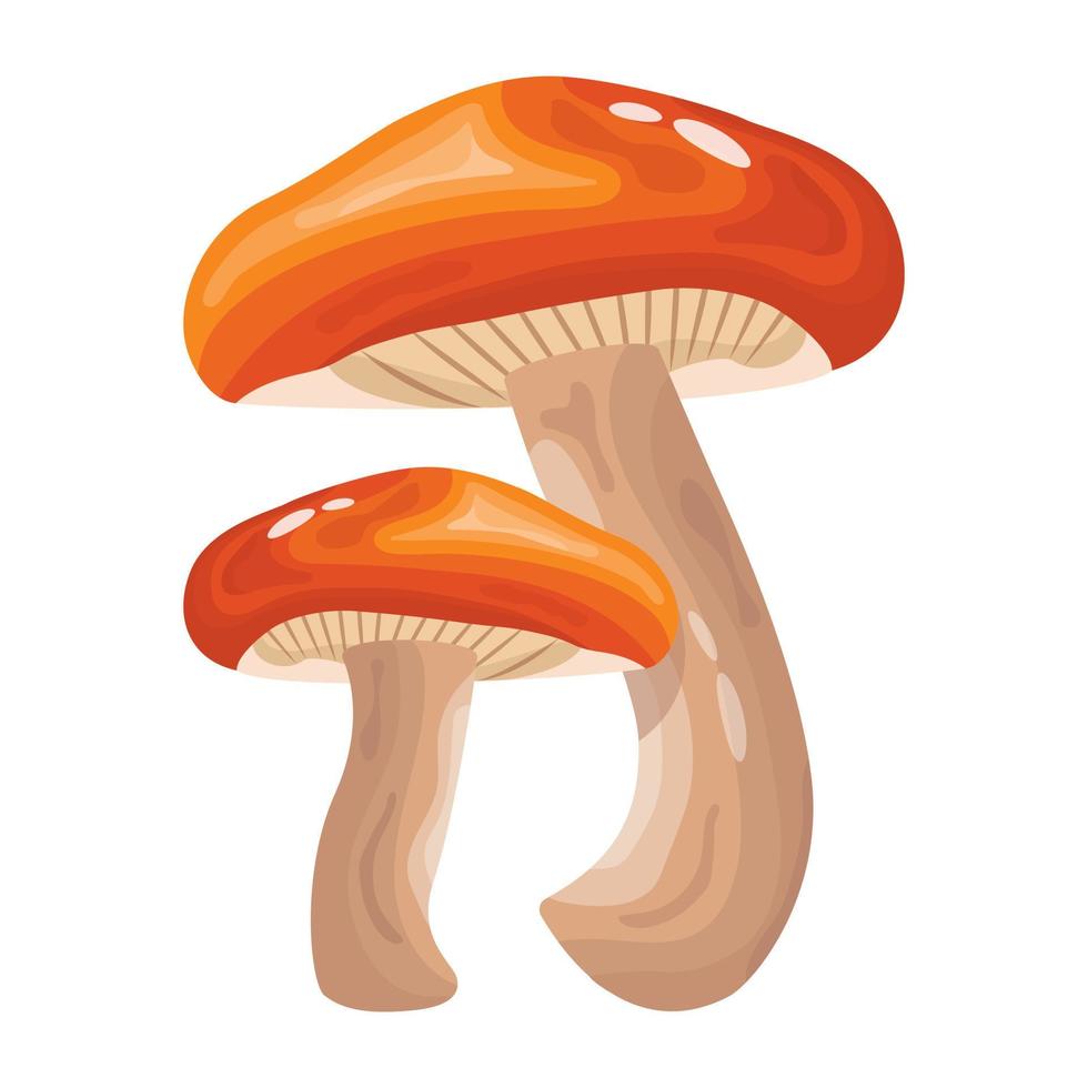 A flat illustrative vector of mushroom