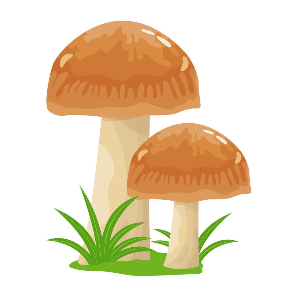 A flat illustrative vector of mushroom