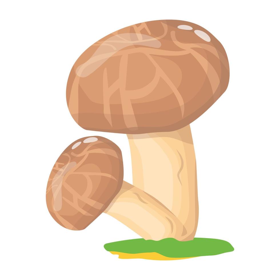A flat illustrative vector of mushroom