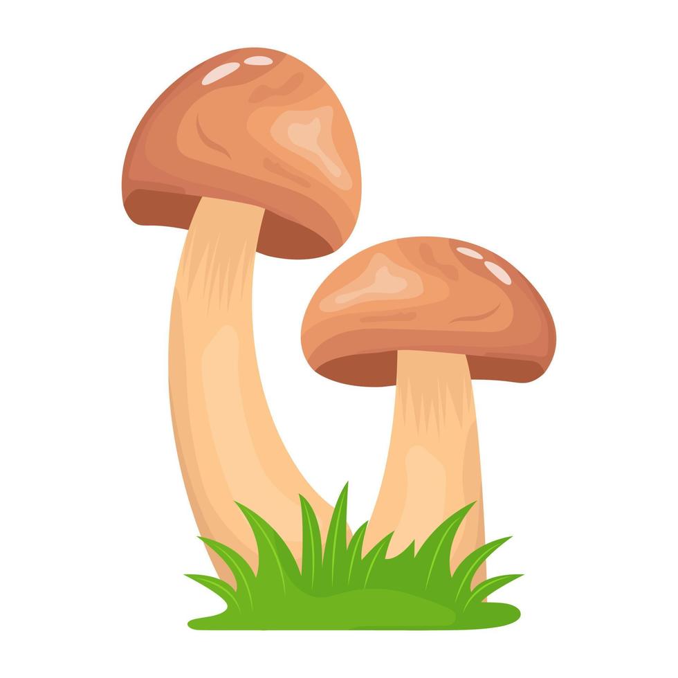 A flat illustrative vector of mushroom