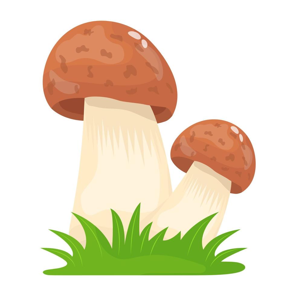 A flat illustrative vector of mushroom
