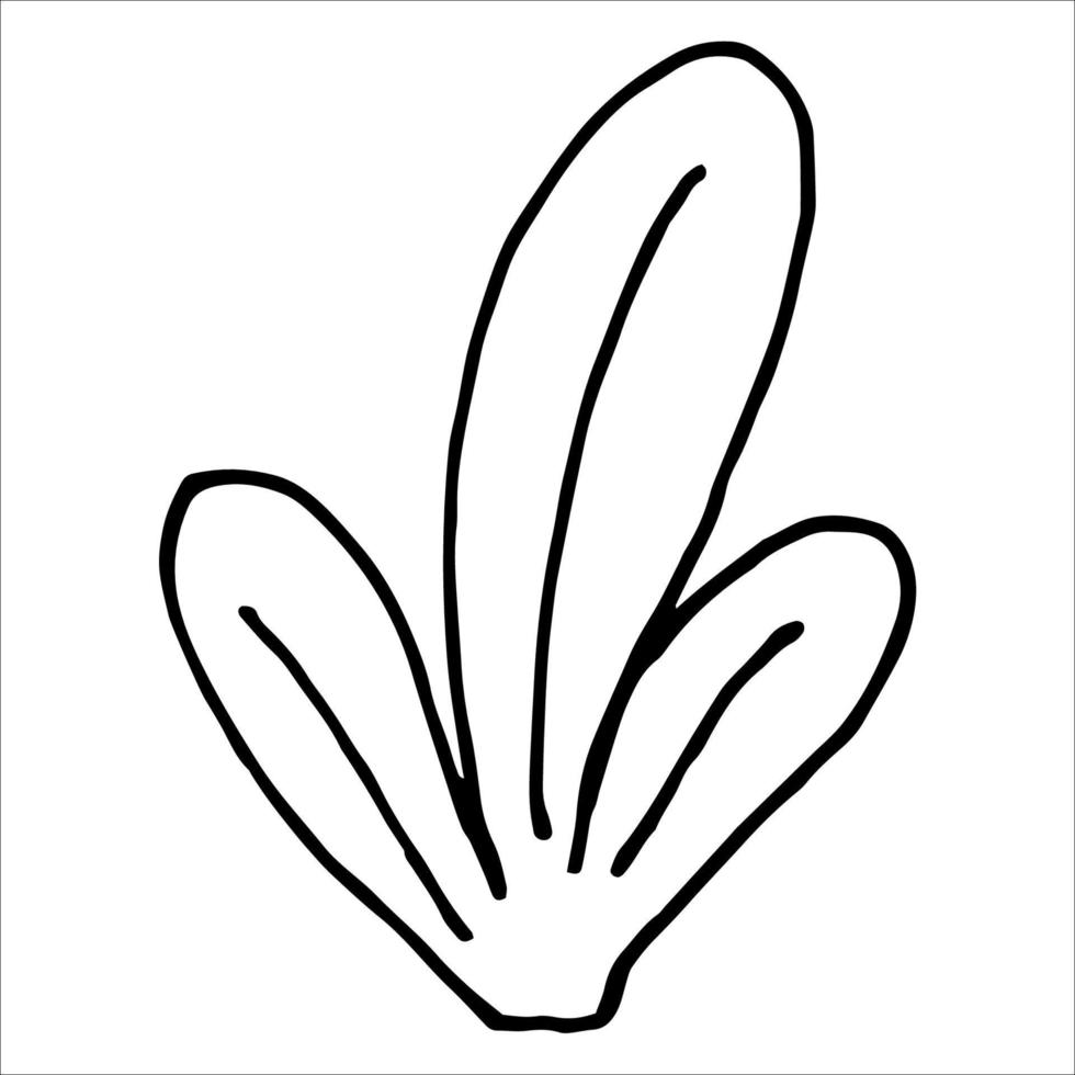 Doodle grass, bush hand-drawn, outline black, vector image of grass isolated on a white background.