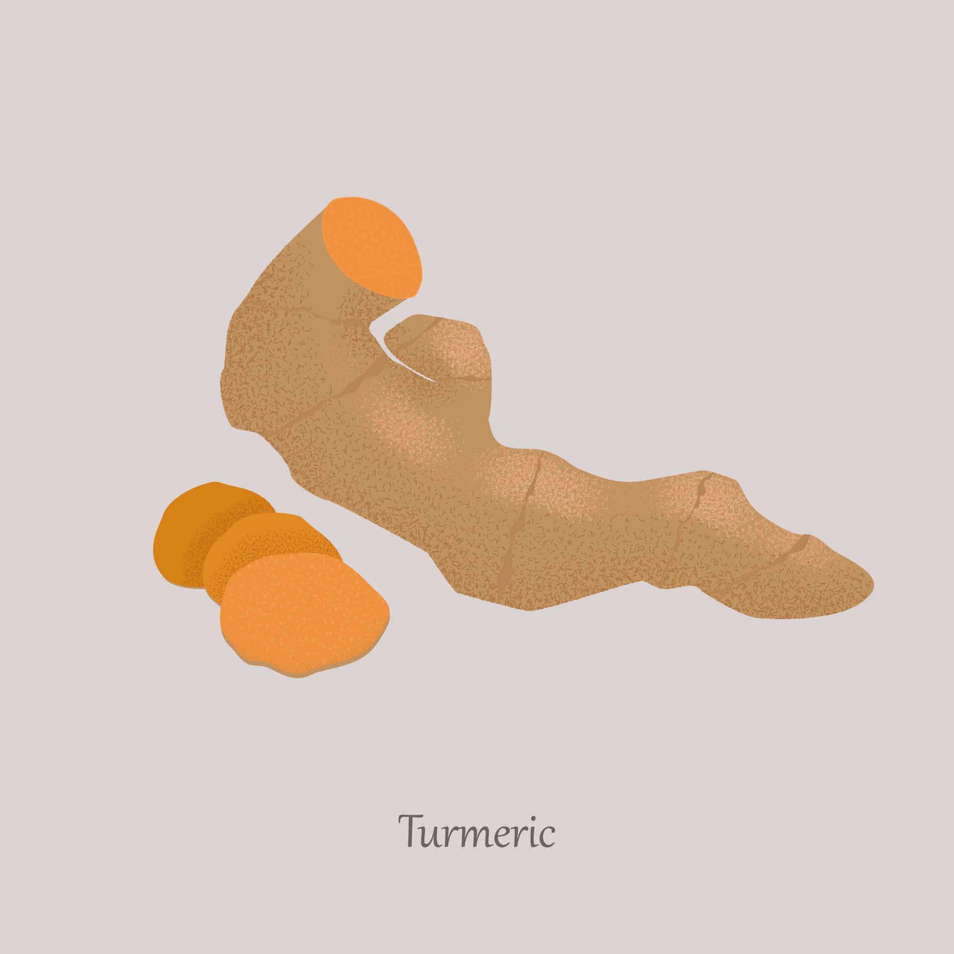 Whole turmeric root and sliced on a gray background. Turmeric is