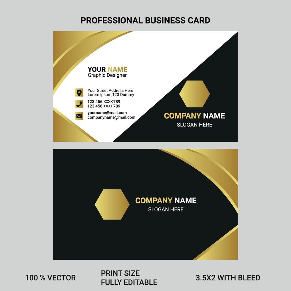 Professional business card for professional uses or personal use vector