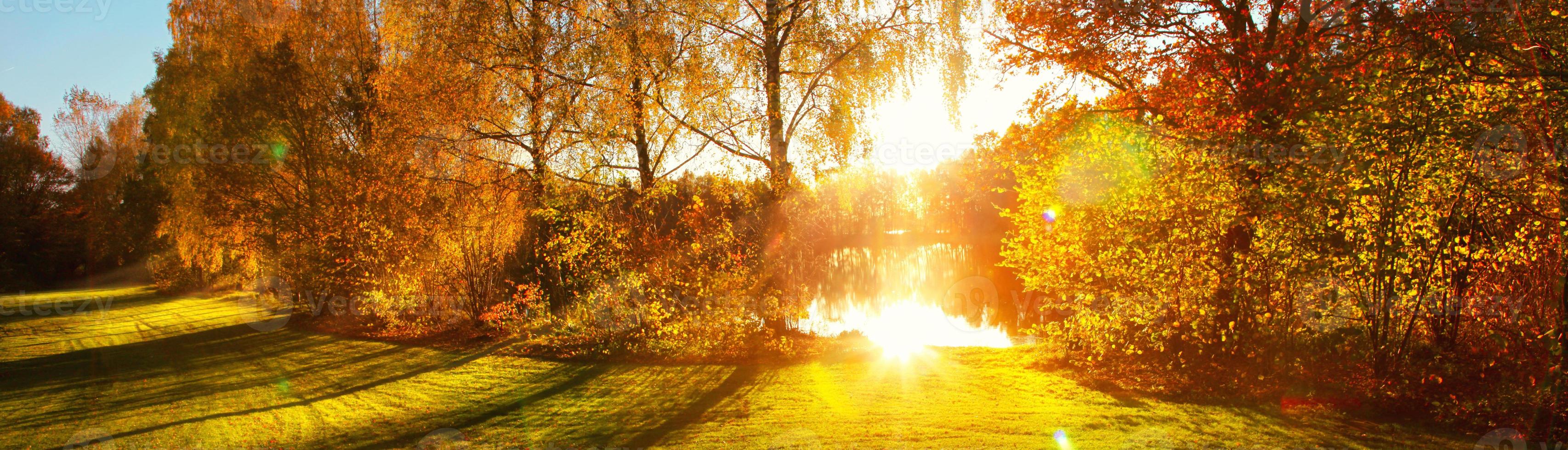 Colorful bright leaves falling in autumnal park. photo