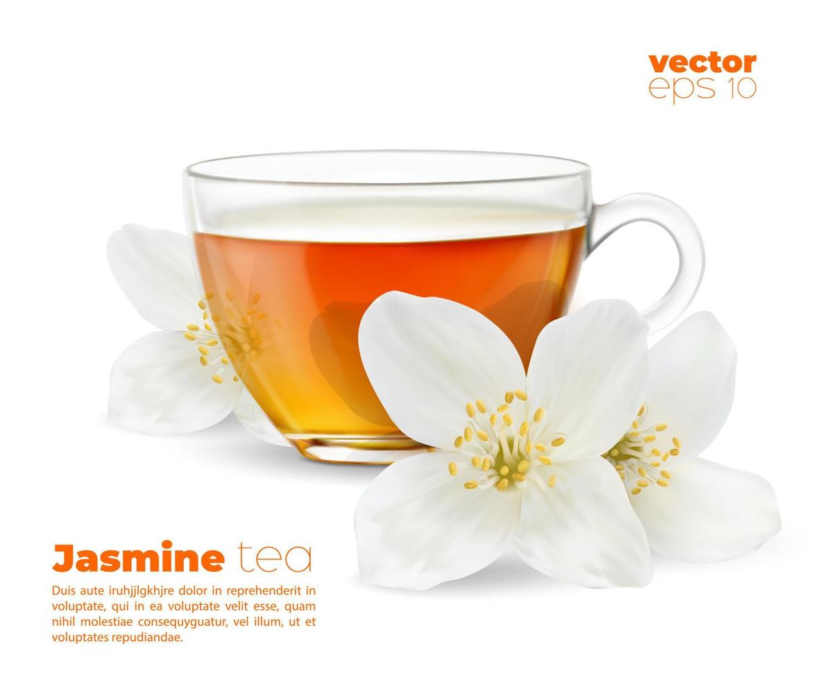 taza de té de jazmín realista, bebida de flor de sabor vector