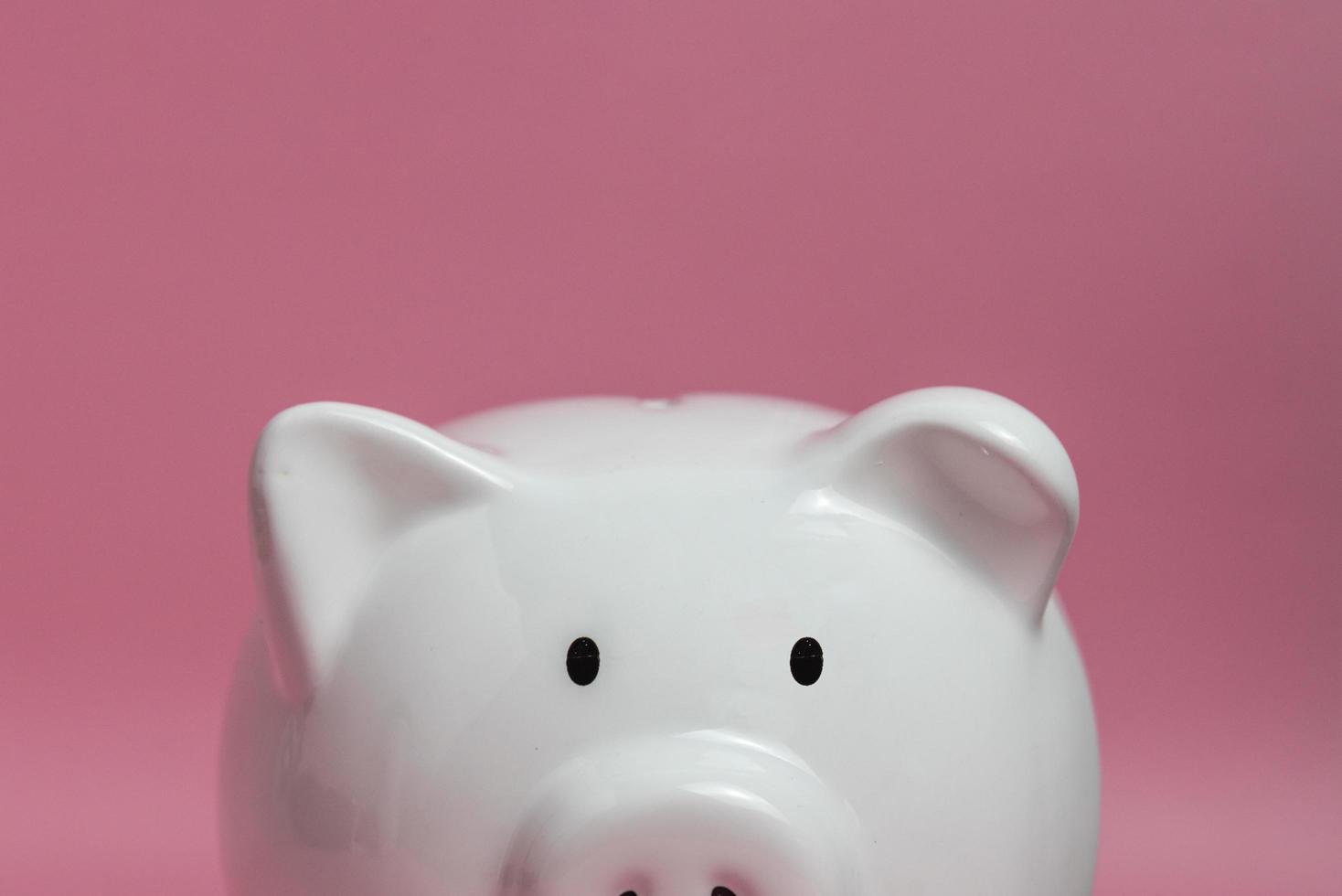 banco ahorro ingresos financiero banca inversión beneficio dinero economía jubilación planificación presupuesto ganancia fondo negocio piggy blanco sobre fondo rosa. foto