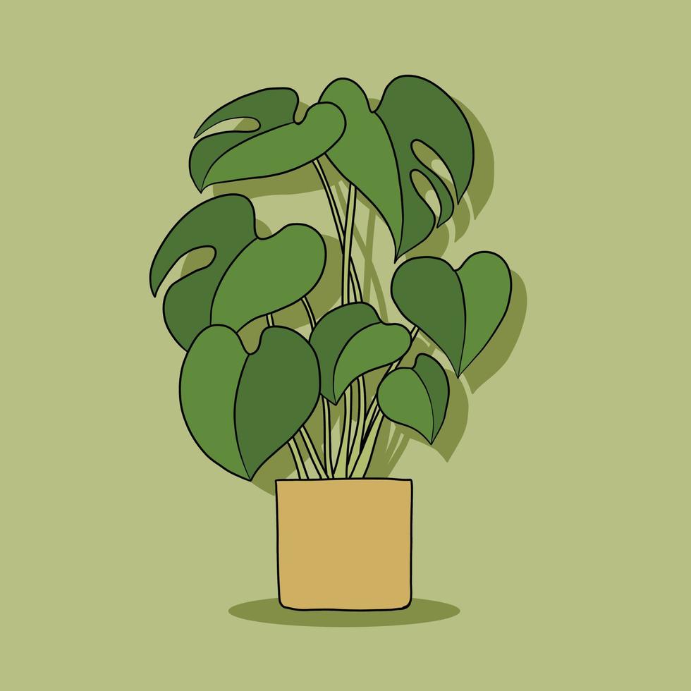 simplicidad monstera planta dibujo a mano alzada diseño plano. vector