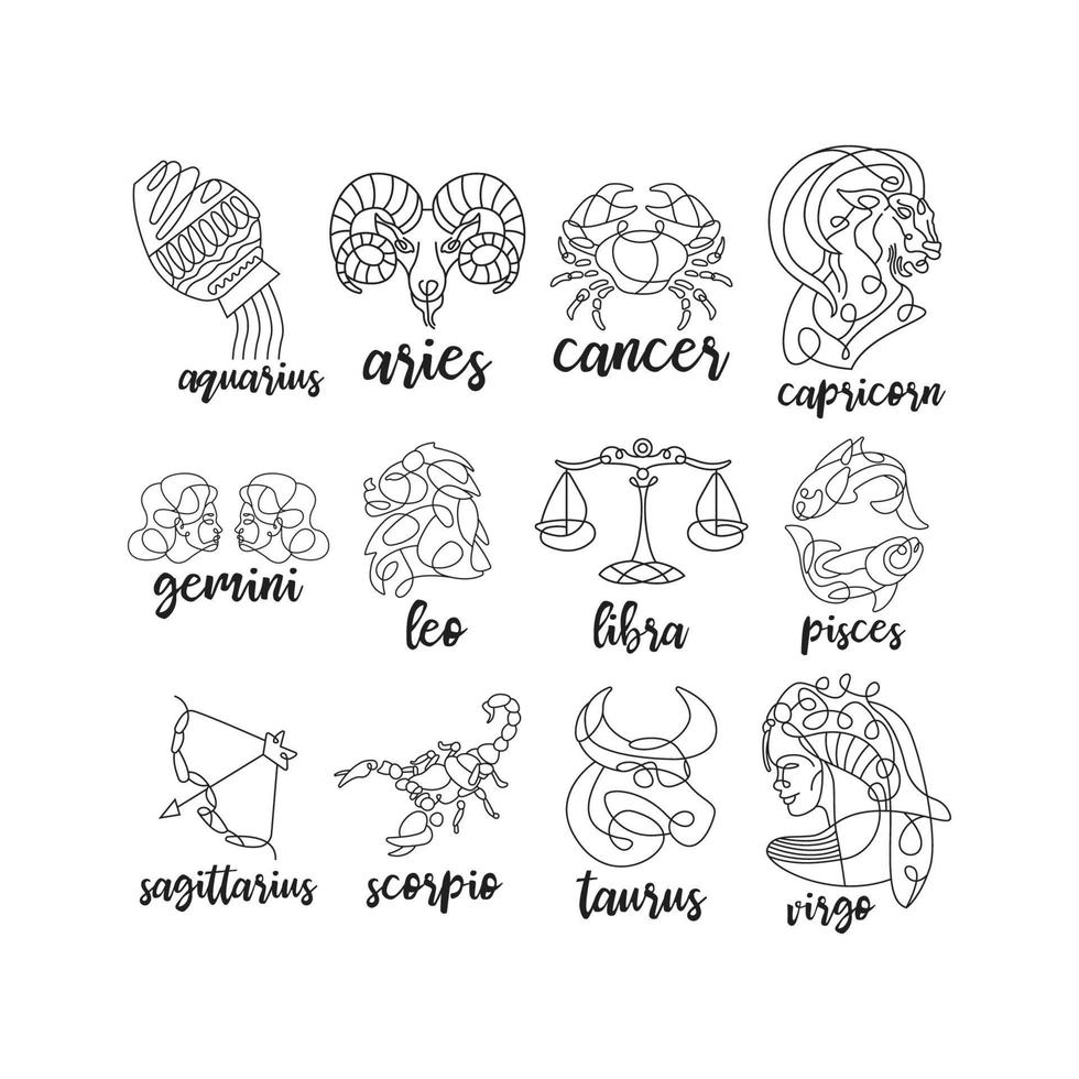 Zodiac Vector Bundle